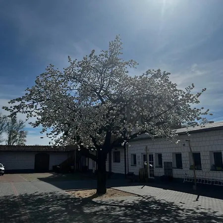 Διαμέρισμα Unseburger Brauhaus Gmbh 4 *