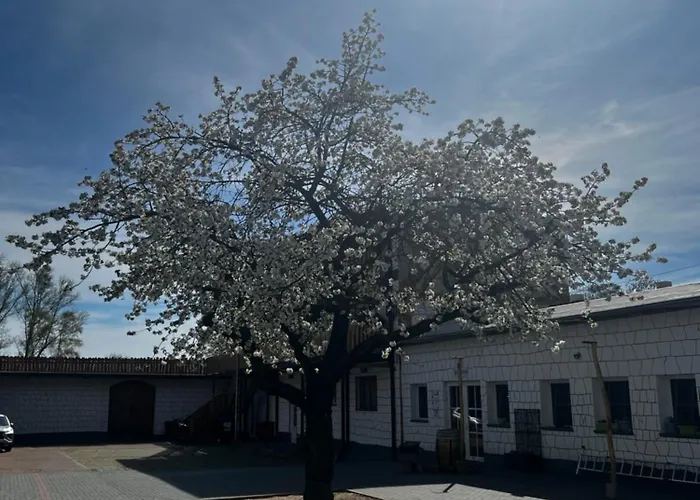 Lejlighed Unseburger Brauhaus Gmbh 4 *